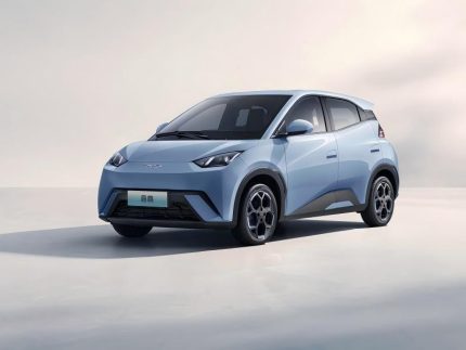 BYD Seagull 305km Pure Electric Car for Ethiopia | support LC and TT payment